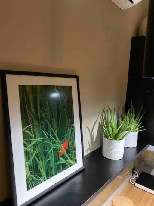 Dream Home Serres Romantic Living ภายนอก รูปภาพ